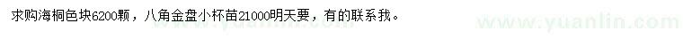 求購海桐、八角金盤