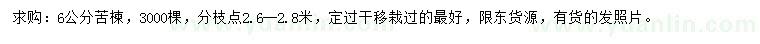 求購6公分苦楝