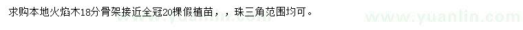 求購18公分火焰木