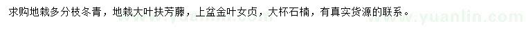 求購(gòu)冬青、大葉扶芳藤、金葉女貞等