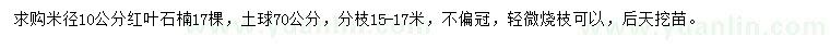 求購米徑10公分紅葉石楠