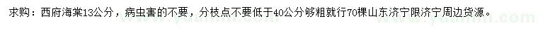 求購13公分西府海棠