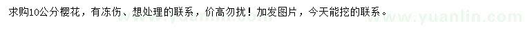 求購(gòu)10公分櫻花