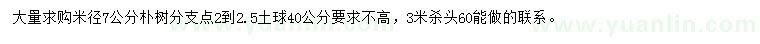 求購米徑7公分樸樹