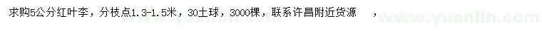 求購5公分紅葉李
