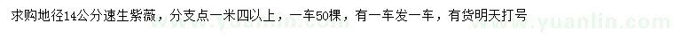 求購(gòu)地徑14公分速生紫薇