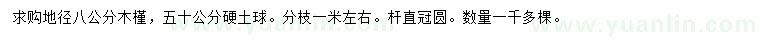 求購地徑8公分木槿