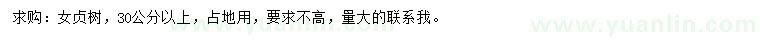 求購30公分以上女貞