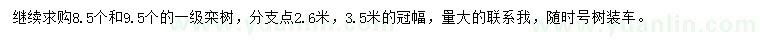 求購8.5、9.5公分欒樹