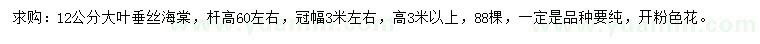 求購12公分大葉垂絲海棠
