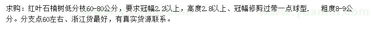 求購冠幅2.2米以上紅葉石楠
