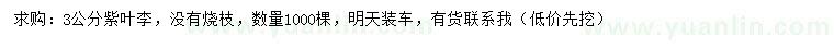 求購3公分紫葉李