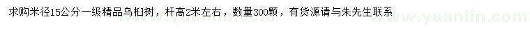 求購米徑15公分烏桕