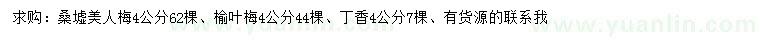 求購美人梅、榆葉梅、丁香