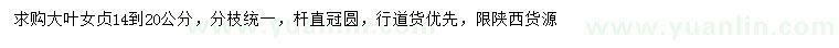 求購14-20公分大葉女貞