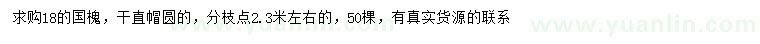 求購18公分國槐