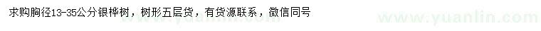 求購胸徑13、35公分銀樺樹