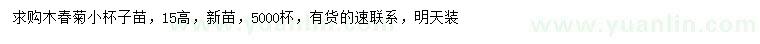 求購高15公分木春菊
