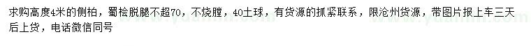 求購高4米側(cè)柏、蜀檜