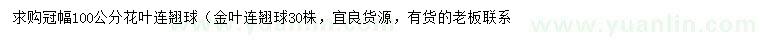 求購冠幅100公分花葉連翹球、金葉連翹球