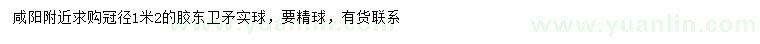 求購冠幅1.2米膠東衛(wèi)矛球