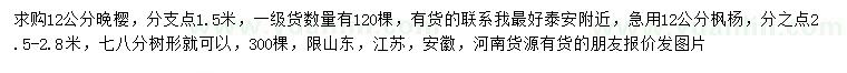 求購12公分晚櫻、楓楊