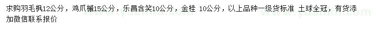 求購羽毛楓、雞爪槭、樂昌含笑等