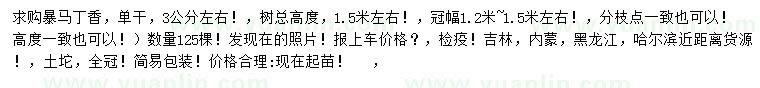 求購3公分左右暴馬丁香