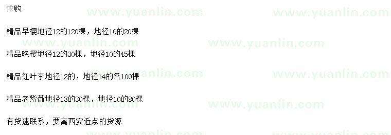 求購(gòu)早櫻、晚櫻、紅葉李等