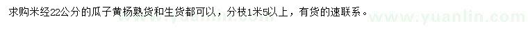 求購米徑22公分瓜子黃楊