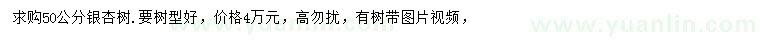 求購50公分銀杏