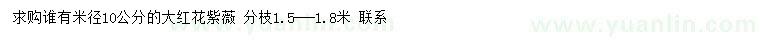 求購米徑10公分紫薇