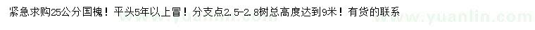 求購25公分國槐