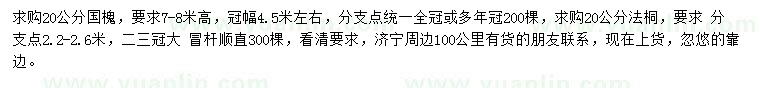 求購20公分國(guó)槐、法桐