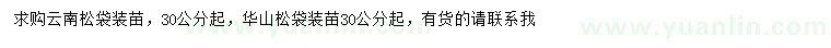 求購(gòu)30公分起云南松、華山松