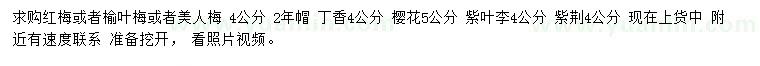 求購紅梅、丁香、櫻花等