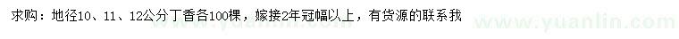 求購地徑10、11、12公分丁香