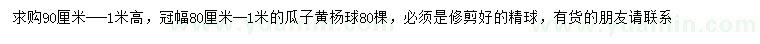 求購高0.9-1米瓜子黃楊球