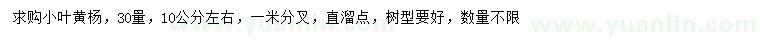求購(gòu)30量10公分左右小葉黃楊