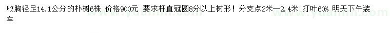 求購胸徑14.1公分樸樹