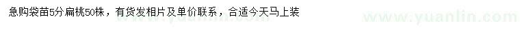求購(gòu)5公分扁桃