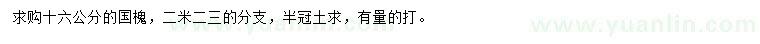 求購16公分國槐