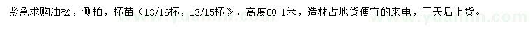 求購(gòu)高60公分-1米油松、側(cè)柏
