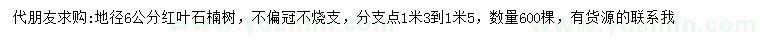 求購地徑6公分紅葉石楠