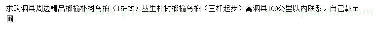 求購榔榆、樸樹、烏桕