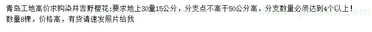 求購30量15公分染井吉野櫻