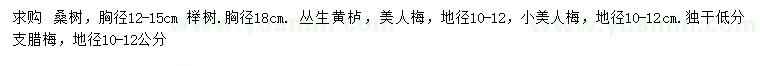 求購桑樹、櫸樹、叢生黃櫨等