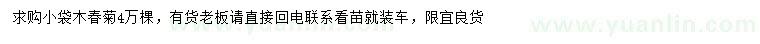 求購木春菊