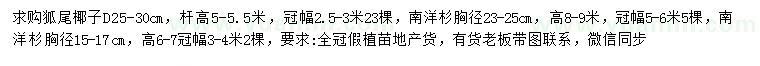 求購地徑25-30公分狐尾椰子、胸徑15-17、23-25公分南洋杉