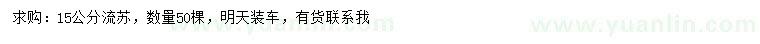 求購15公分流蘇